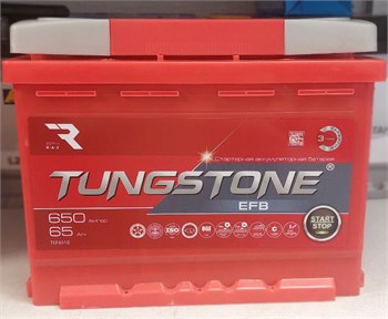 TUNGSTONE EFB 65 А/ч 650 А п.п. TEF6510 - фото 7491