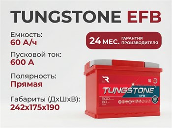 TUNGSTONE EFB 60 А/ч 600 А п.п. TEF6010