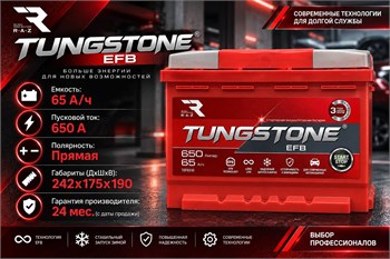TUNGSTONE EFB 65 А/ч 650 А п.п. TEF6510