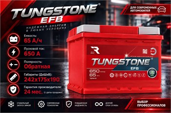 TUNGSTONE EFB 65 А/ч 650 А о.п. TEF6500