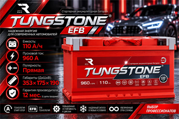 TUNGSTONE EFB 110 А/ч 960 А п.п. TEF11010