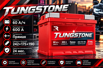 TUNGSTONE EFB 60 А/ч 600 А п.п. TEF6010