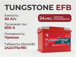 TUNGSTONE EFB 60 А/ч 600 А п.п. TEF6010