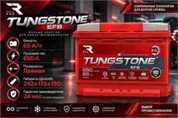 TUNGSTONE EFB 65 А/ч 650 А п.п. TEF6510