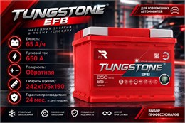 TUNGSTONE EFB 65 А/ч 650 А о.п. TEF6500
