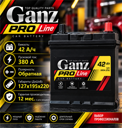 Ganz PRO-Line JIS 42 А/ч 380 А о.п. G1130420