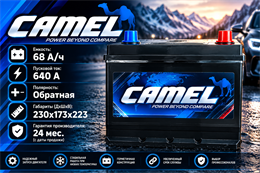 CAMEL Asia 68 А/ч 640 А о.п. 80D23L
