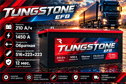 TUNGSTONE EFB 210 А/ч 1450 А о.п. евро TEF21030