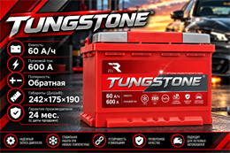 TUNGSTONE EFB 60 А/ч 600 А о.п. TEF6000