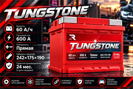 TUNGSTONE EFB 60 А/ч 600 А п.п. TEF6010