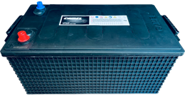CAMEL EFB 220 А/ч 1200 А о.п. евро 6-QWD-220