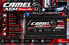 CAMEL AGM Stop&Go 95 А/ч 850 А о.п. AGMVRL595